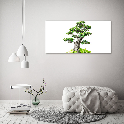 Glasbild Bonsai-Baum