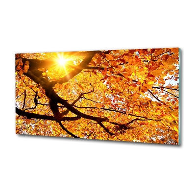Foto glasbild Herbstbaumkrone