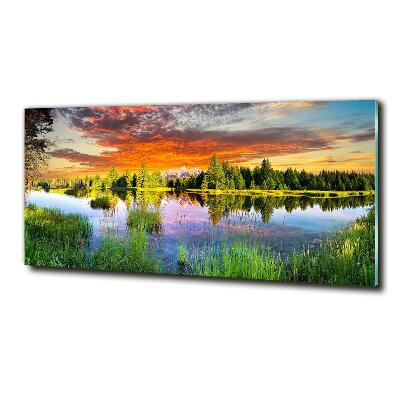 Bild auf glas Fluss im Wald