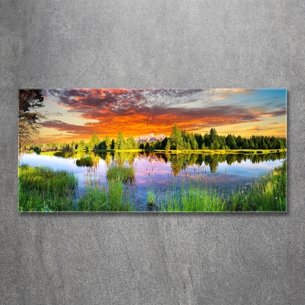 Bild auf glas Fluss im Wald