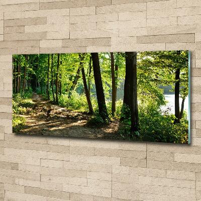 Glasbild Pfad in der Wiese