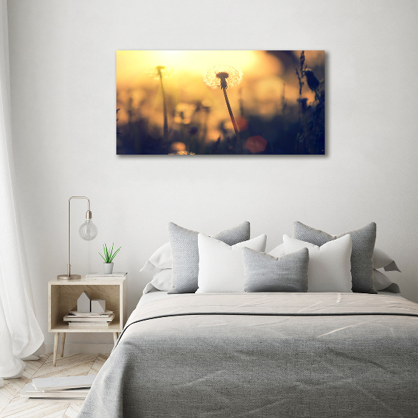 Foto glasbild Löwenzahn