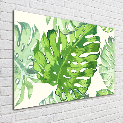Bild auf glas Tropische Blätter