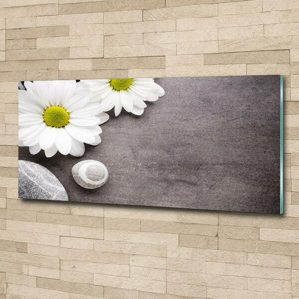 Foto glasbild Gerbera