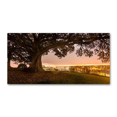 Foto glasbild Alter Baum