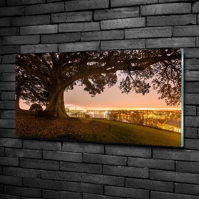 Foto glasbild Alter Baum