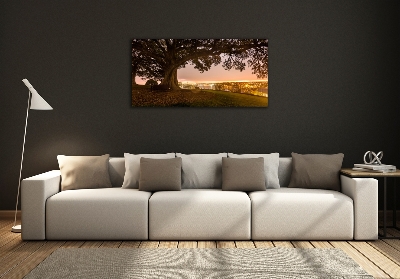 Foto glasbild Alter Baum