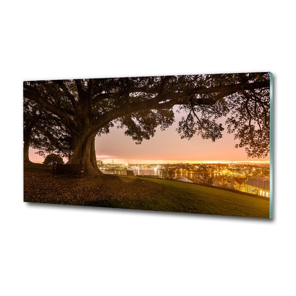 Foto glasbild Alter Baum