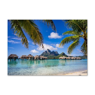 Glasbild Palmen in Bora Bora