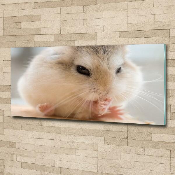 Bild auf glas Hamster