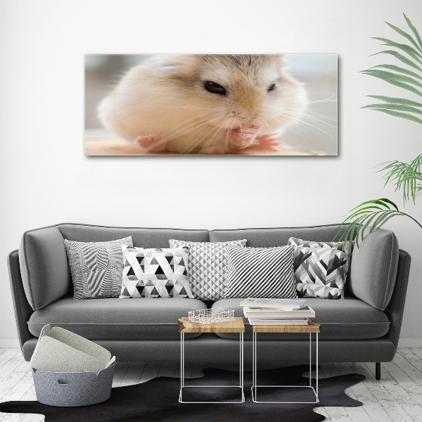 Bild auf glas Hamster