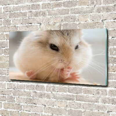 Bild auf glas Hamster