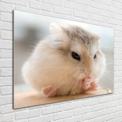 Bild auf glas Hamster