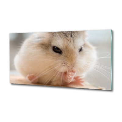 Bild auf glas Hamster