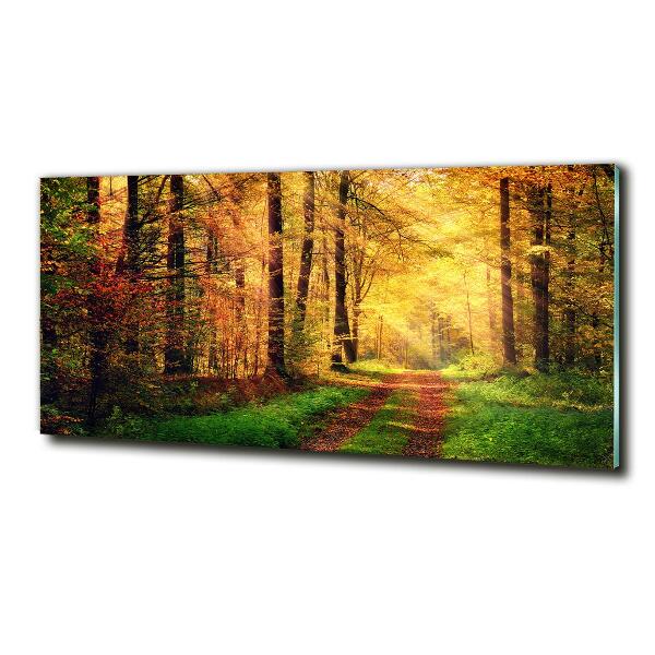 Glasbild Wald im Herbst