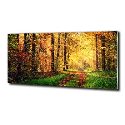 Glasbild Wald im Herbst