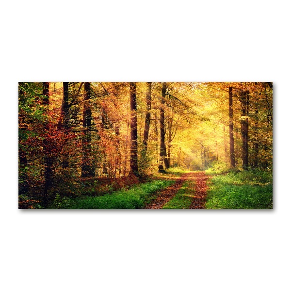 Glasbild Wald im Herbst