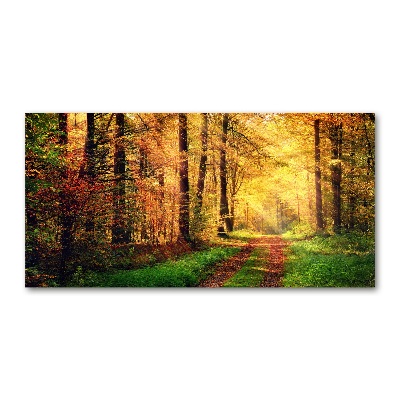 Glasbild Wald im Herbst