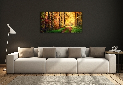 Glasbild Wald im Herbst