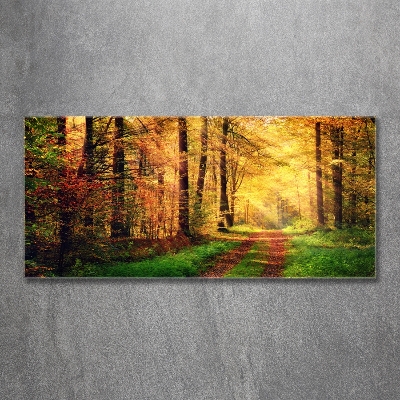 Glasbild Wald im Herbst