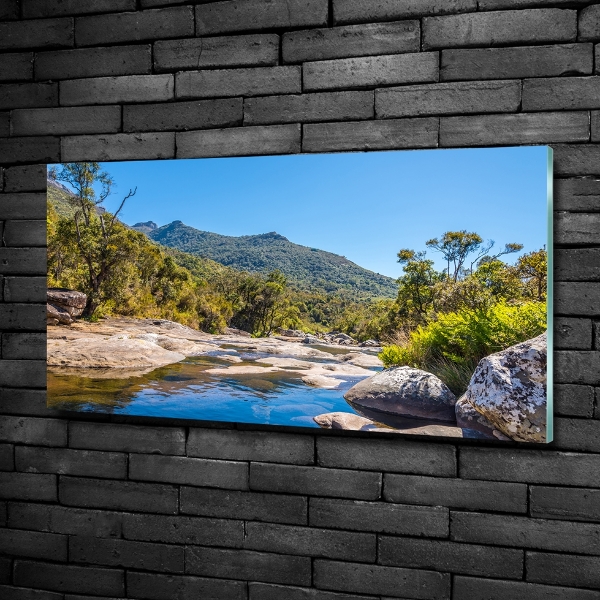 Bild auf glas Fluss im Wald