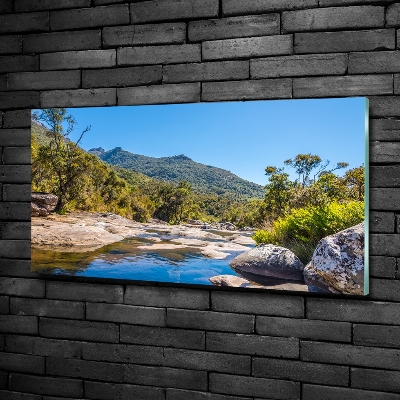 Bild auf glas Fluss im Wald