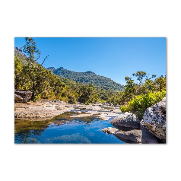 Bild auf glas Fluss im Wald