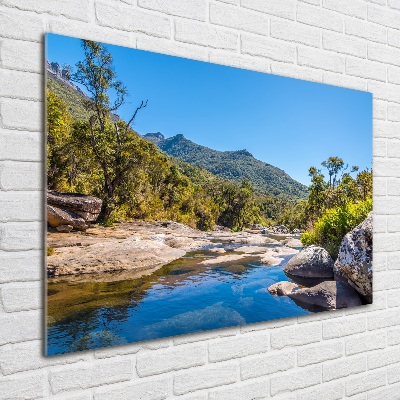 Bild auf glas Fluss im Wald