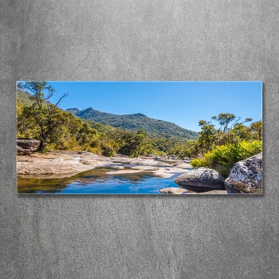 Bild auf glas Fluss im Wald