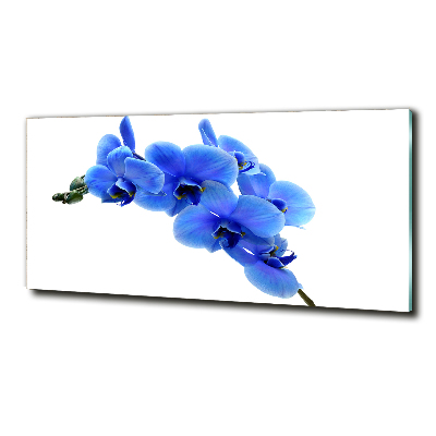 Foto glasbild Blaue Orchidee
