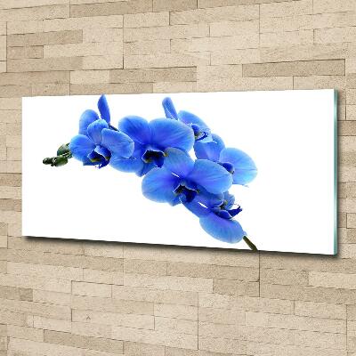 Foto glasbild Blaue Orchidee