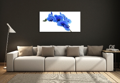 Foto glasbild Blaue Orchidee
