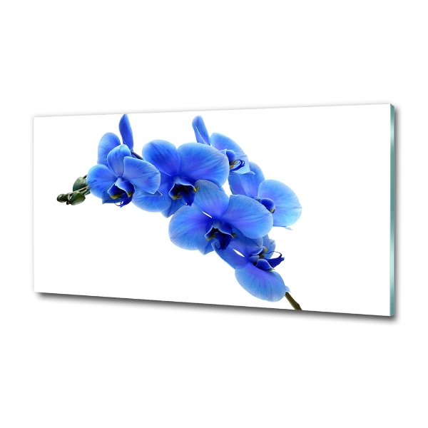 Foto glasbild Blaue Orchidee