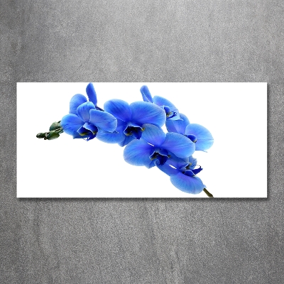 Foto glasbild Blaue Orchidee