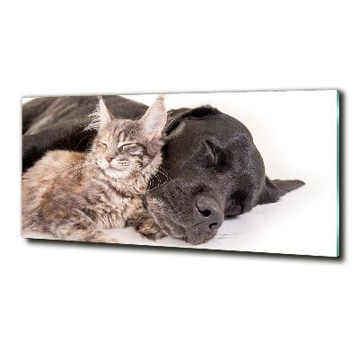 Glasbild Hund mit Katze