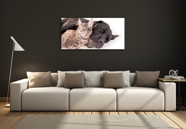 Glasbild Hund mit Katze