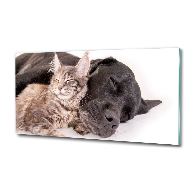 Glasbild Hund mit Katze