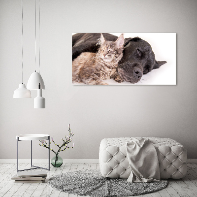 Glasbild Hund mit Katze