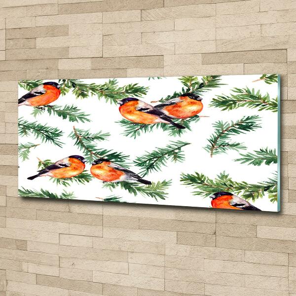 Glasbild Rotkehlchen auf einer Nadelbaum
