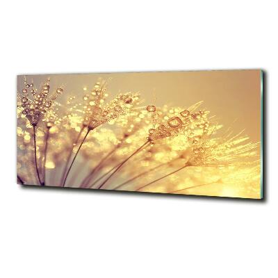 Glasbild Löwenzahnsamen