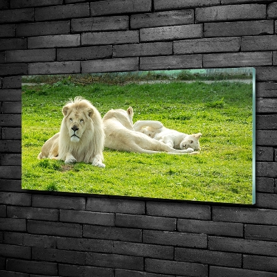 Glasbild Beige Löwen