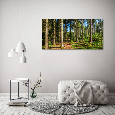 Foto glasbild Waldpanorama