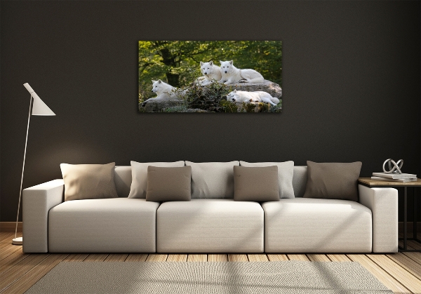 Foto glasbild Weiße Wölfe felsen