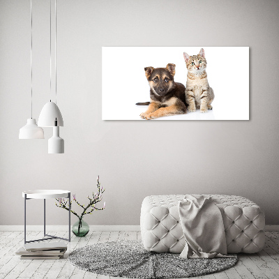Foto glasbild Hund und Katze