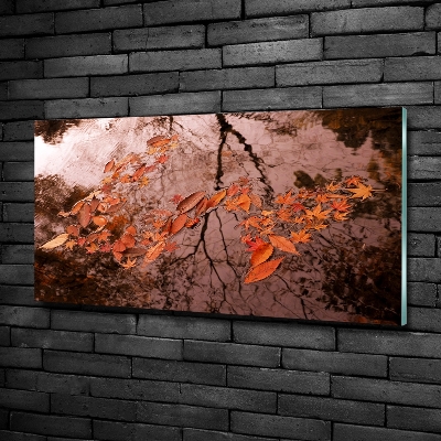 Bild auf glas Blätter auf dem Wasser