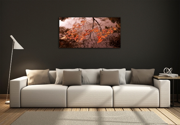 Bild auf glas Blätter auf dem Wasser