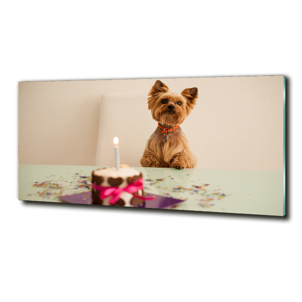 Bild auf glas Hund mit Kuchen