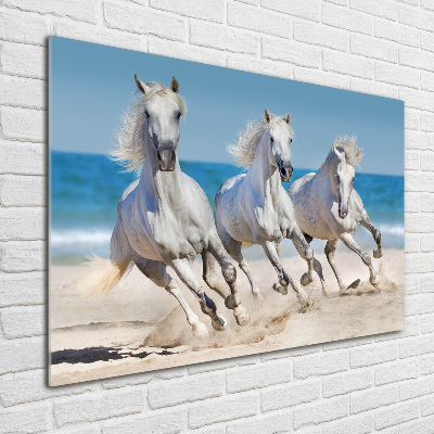 Bild auf glas Strand von White Horses