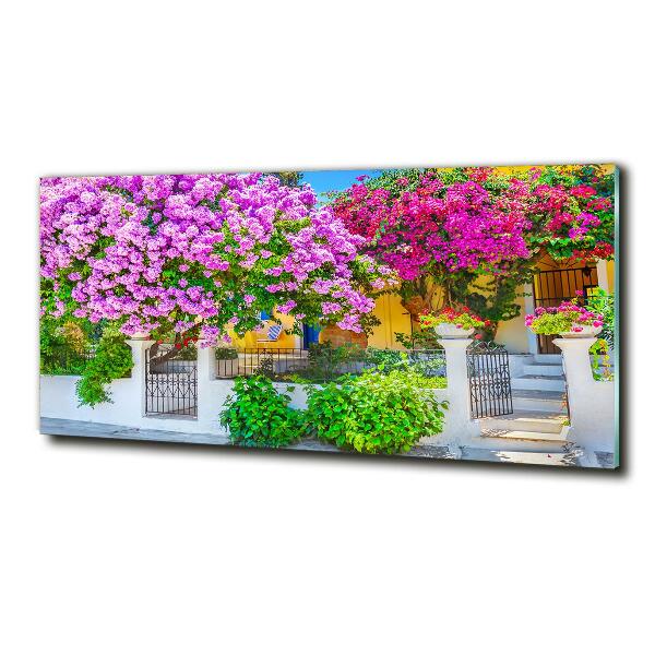 Bild auf glas Haus mit Bougainvillea