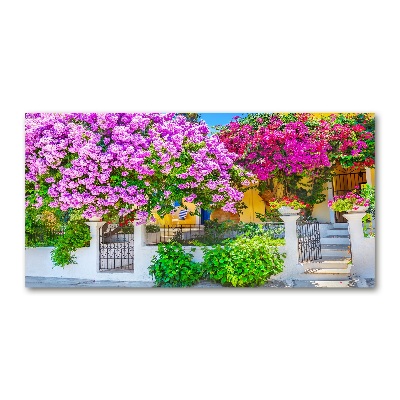Bild auf glas Haus mit Bougainvillea